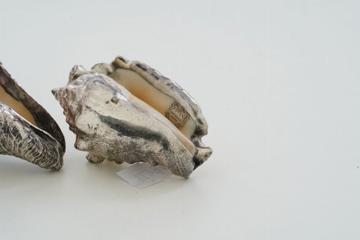 Due Conchiglie Rivestite in Argento. Etichetta a Scudo Mario Buccellati. Italia, XX-XXI Secolo