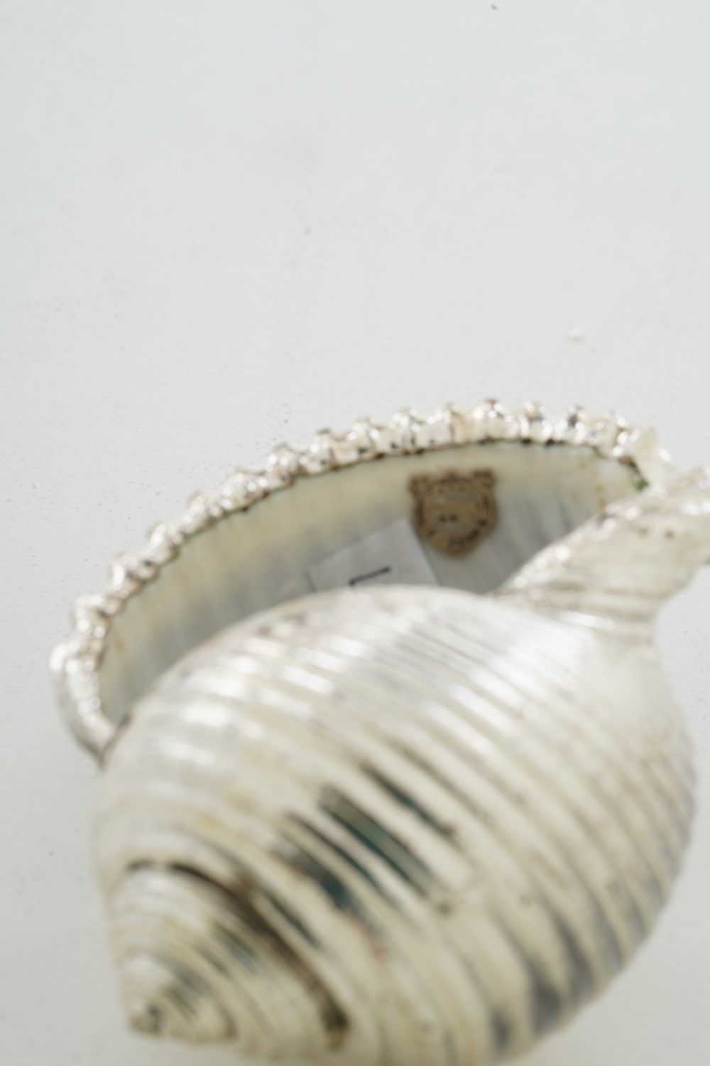 Due Conchiglie Rivestite in Argento. Etichetta a Scudo Mario Buccellati. Italia, XX-XXI Secolo