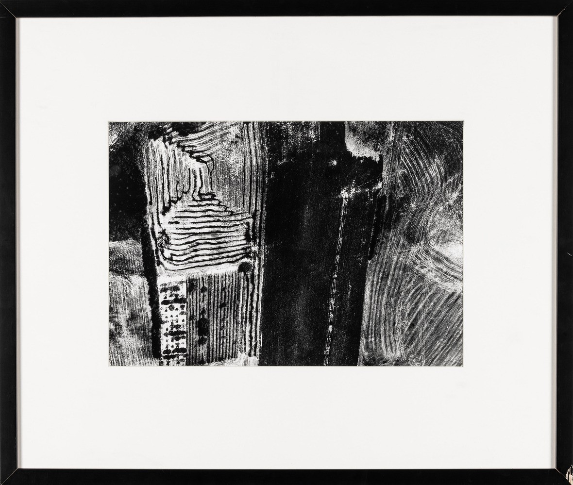 Mario Giacomelli - Presa di Coscienza sulla Natura