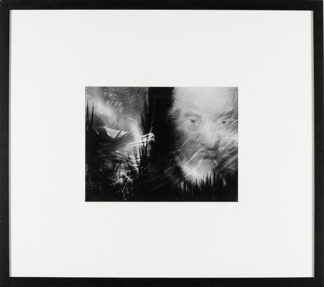 Mario Giacomelli - Senza Titolo