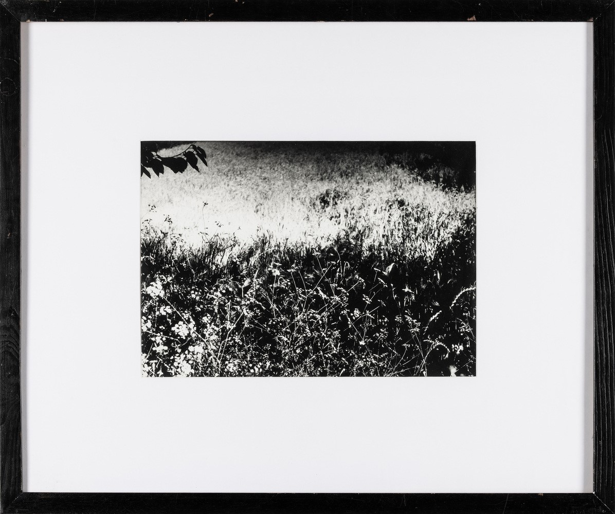 Mario Giacomelli - Senza Titolo
