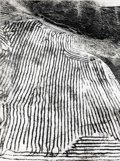 Presa di Coscienza sulla Natura