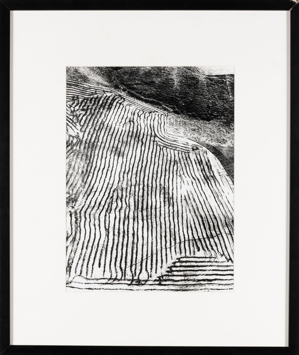 Mario Giacomelli - Presa di Coscienza sulla Natura