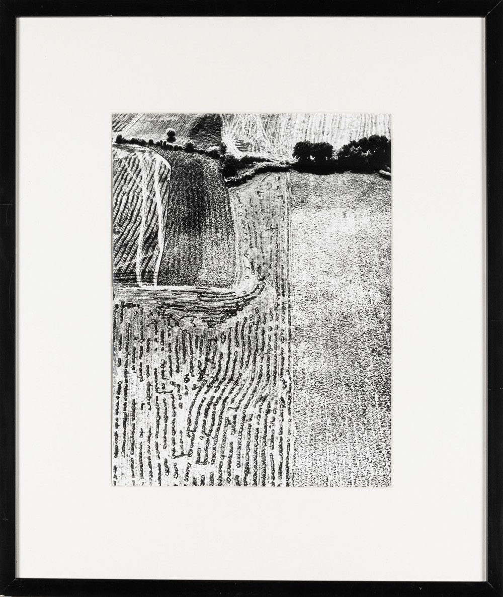Mario Giacomelli - Presa di Coscienza sulla Natura