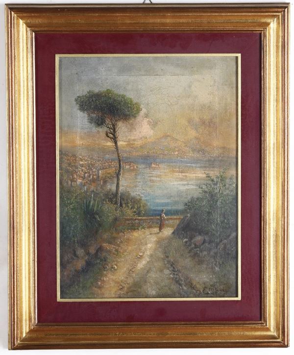 Enrico Altrui (XIX-XX secolo) - Vista sul golfo di Napoli con Vesuvio