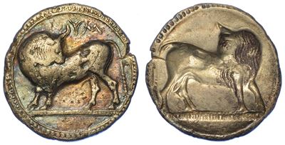 Lucania - Sibari. Nomos, 550-510 a.C.