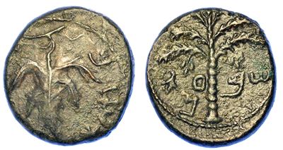 Giudea. Seconda Rivolta - Guerra Bar-kokhba, 132-135. Bronzo Medio.