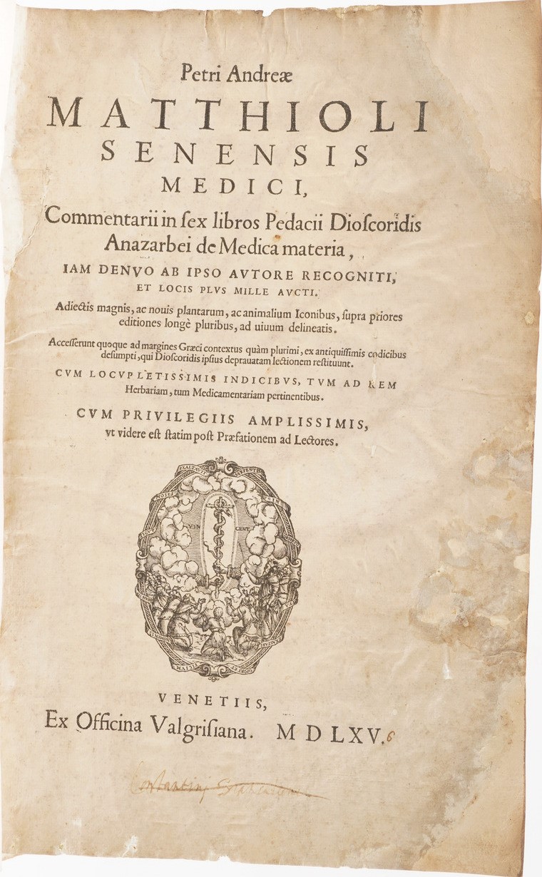 Mattioli Pietro Andrea Petri Andrea Matthioli Senensis Medici. Commentarii in Sex Libros Pedacii ...