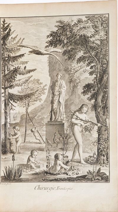 Diderot D'alembert Chirurgie. Raccolta delle Plances, Parigi o Livorno, Seconda Metà Secolo XIX.