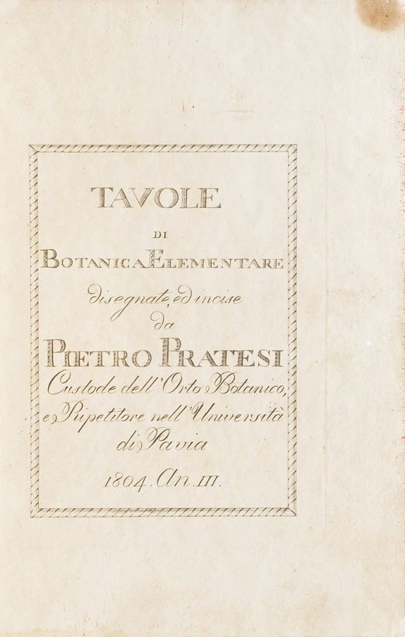 Pietro Pratesi Tavole di botanica elementare...(Pavia presso Galeazzi?), 1804