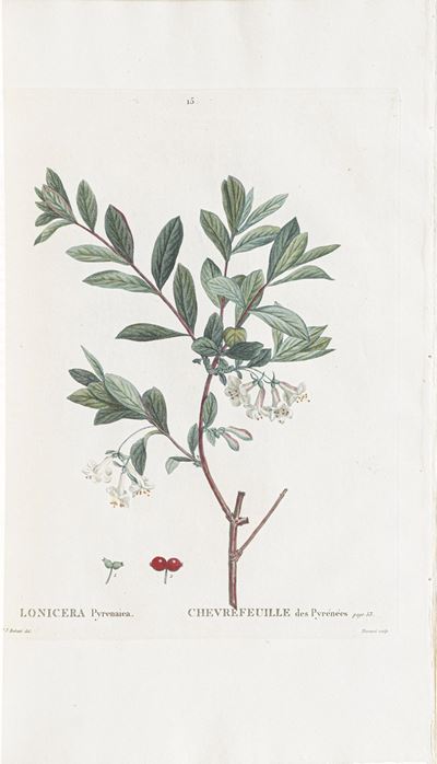 Duhamel Du Monceau (henri Louis) Traité Des Arbres Et Arbustes Que L'on Cultive En France, En Ple...