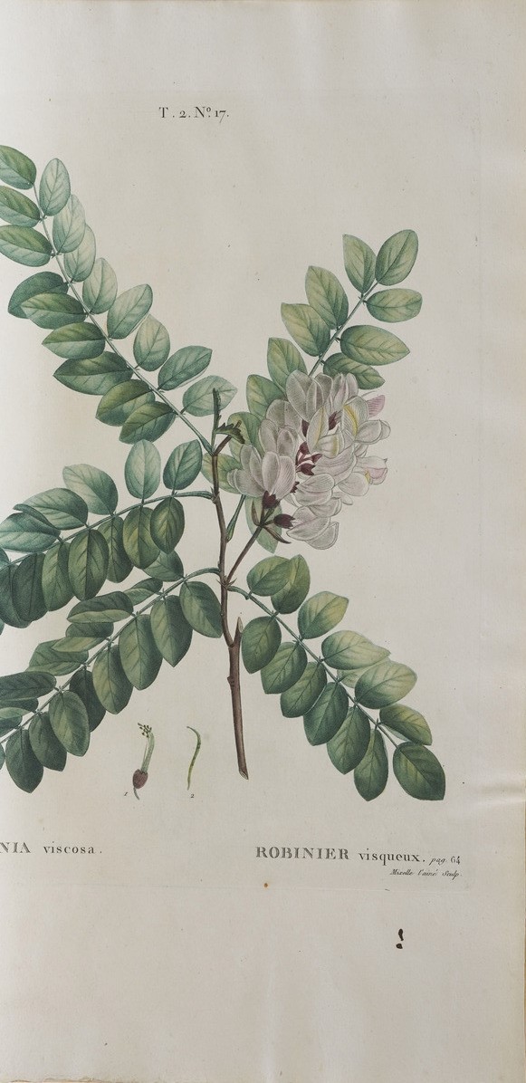 Duhamel Du Monceau (henri Louis) Traité Des Arbres Et Arbustes Que L'on Cultive En France, En Ple...