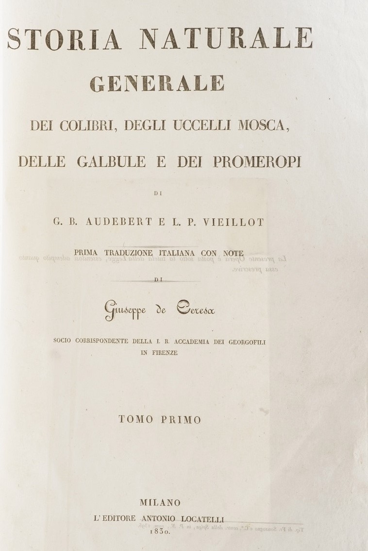 G.b. Audbert e L.p. Viellot- Giuseppe De Seresa Storia Naturale Generale dei Colibrì, degli Uccel...