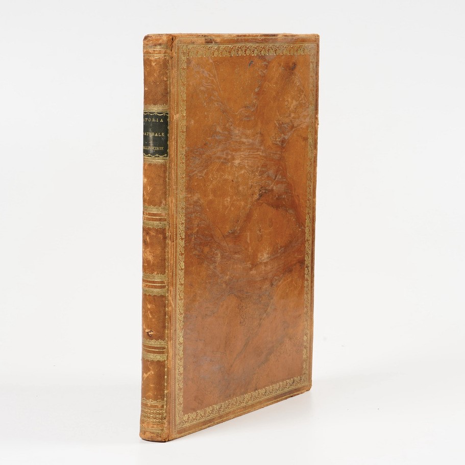 N.h. Jacob-luigi Rados Storia Naturale delle Scimie... Milano Ferdinando Artaria 1812