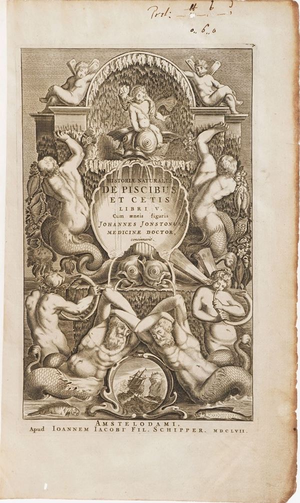 Jonstonus Johannes Historiae Naturalis De Piscibus et Cetis libri V. (unito a) Historiae Naturalis De Avibus cum Aeneis Figurae