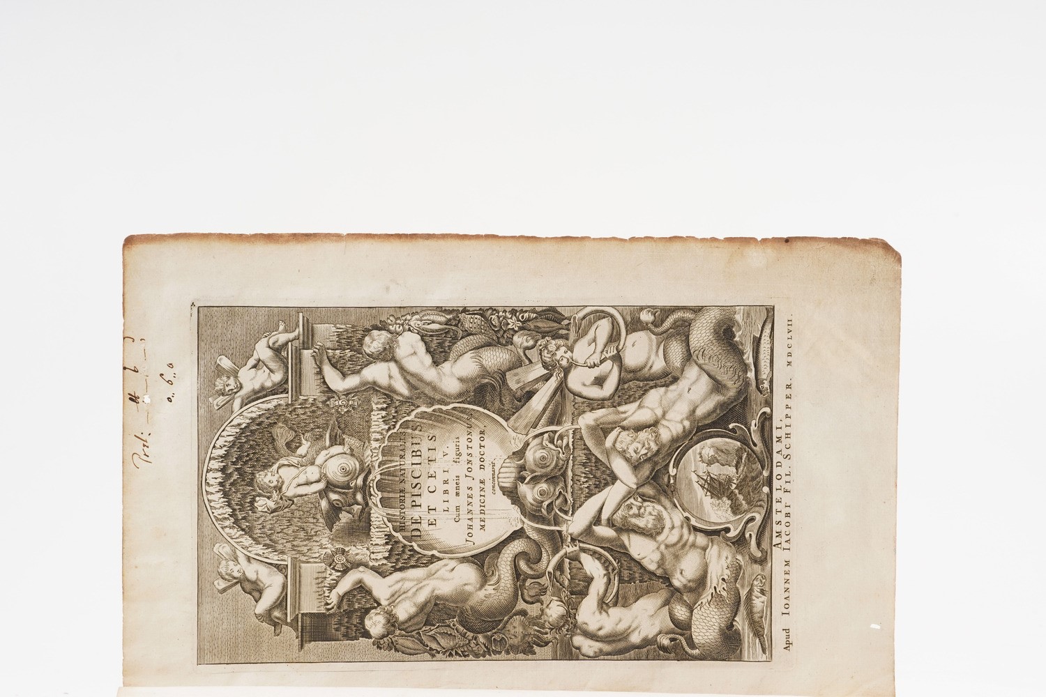 Jonstonus Johannes Historiae Naturalis De Piscibus Et Cetis Libri V. (unito A) Historiae Naturali...