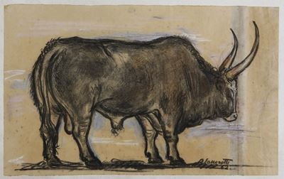 Toro della Maremma, 1962