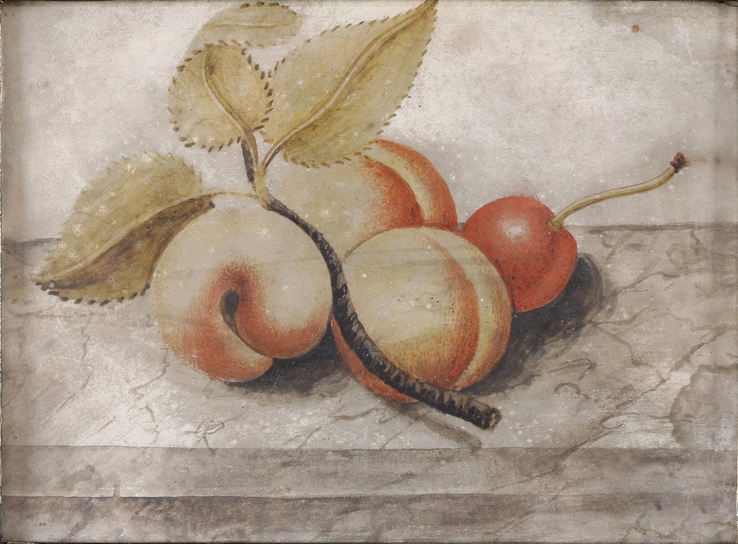 Octavianus Monfort (attivo in Piemonte nel XVII Secolo) - Nature Morte con Composizioni di Frutta