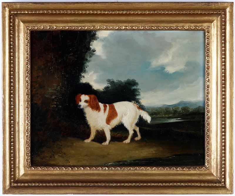 Scuola del XIX secolo Ritratto di cane nel parco  - olio su tela - Asta Dipinti Antichi - Cambi Casa d'Aste
