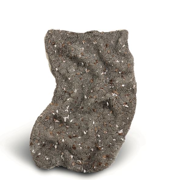 Landscape of waking memories