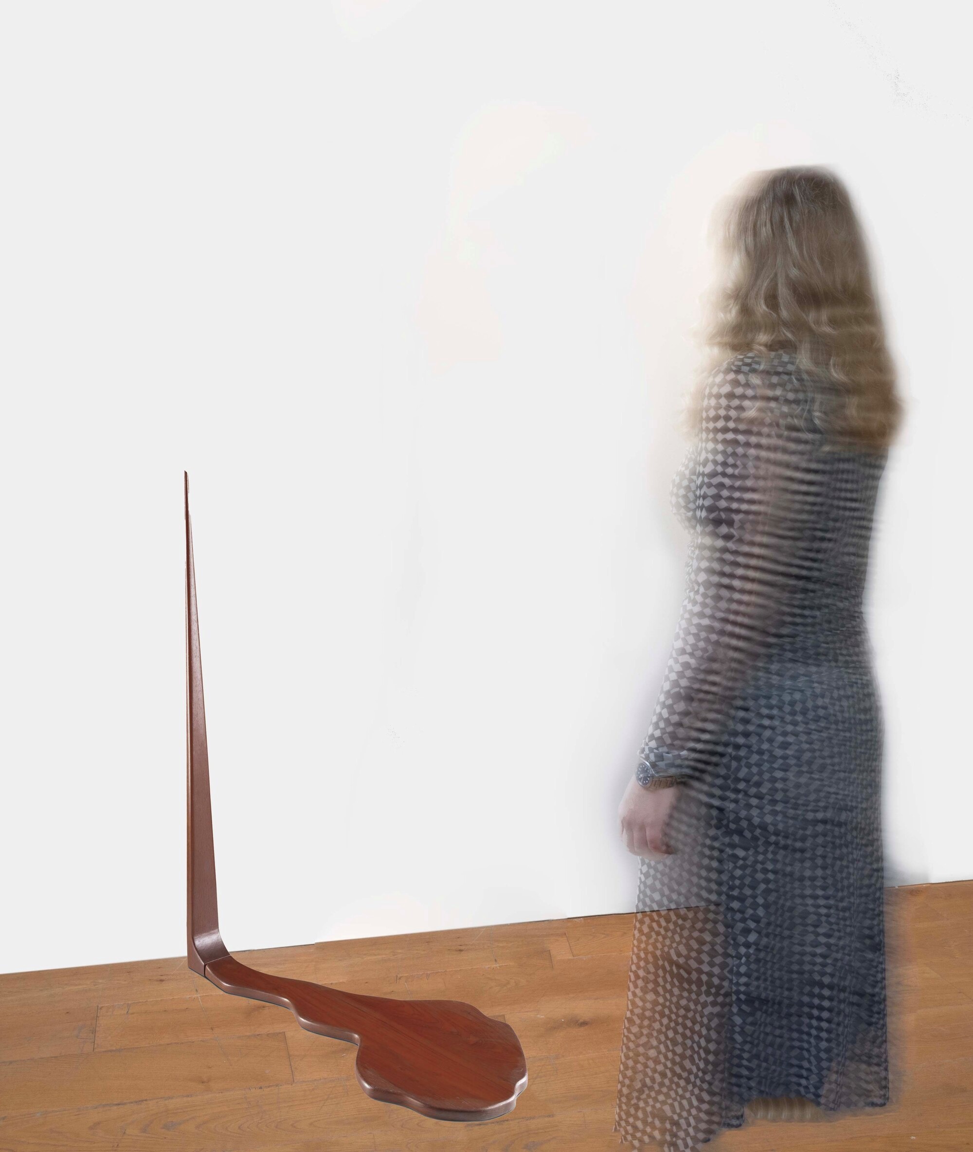 Sudarshan Shetty - Scultura in legno lucido