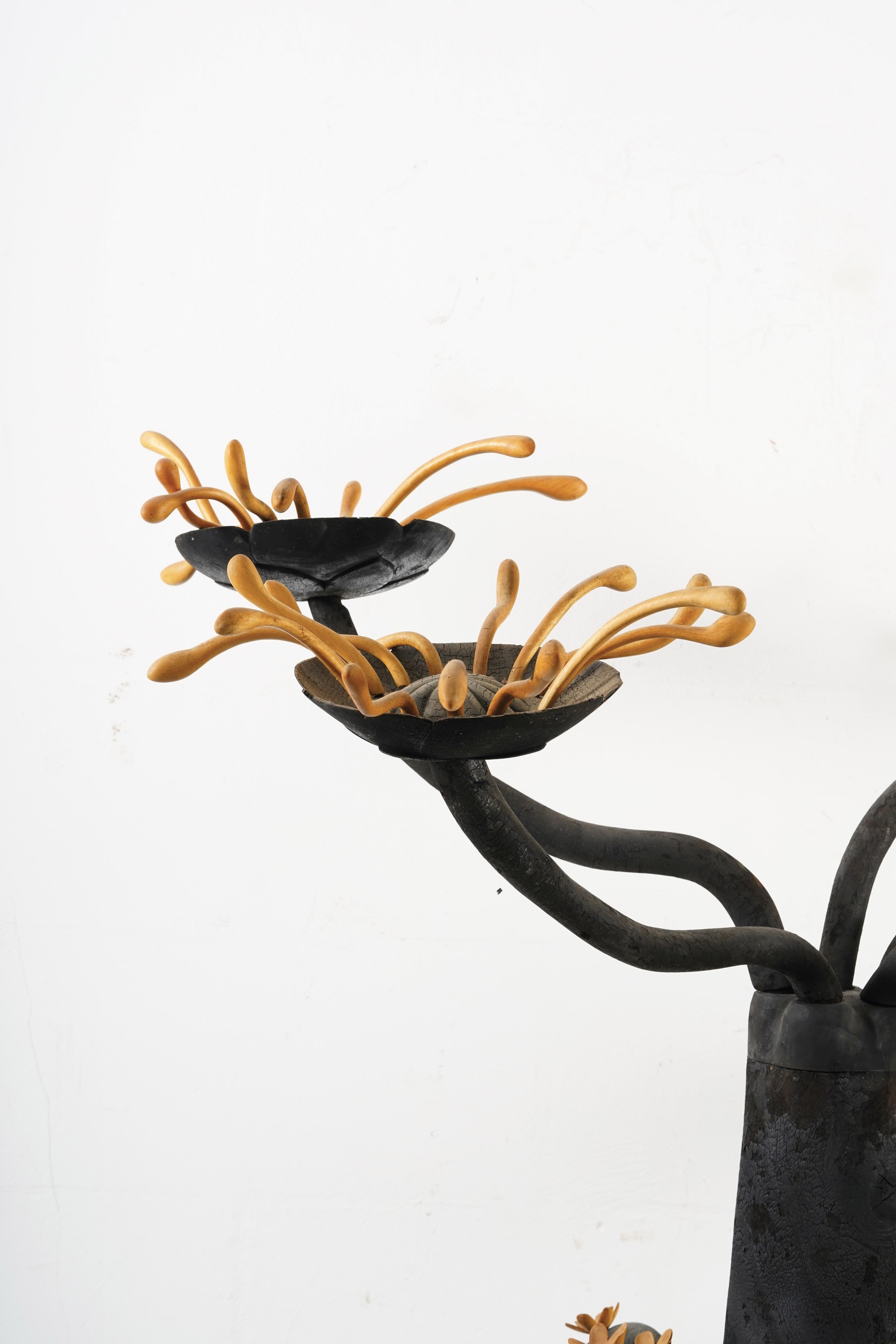 Xin Cang - Fiori esotici, scultura in legno carbonizzato e sandalo
