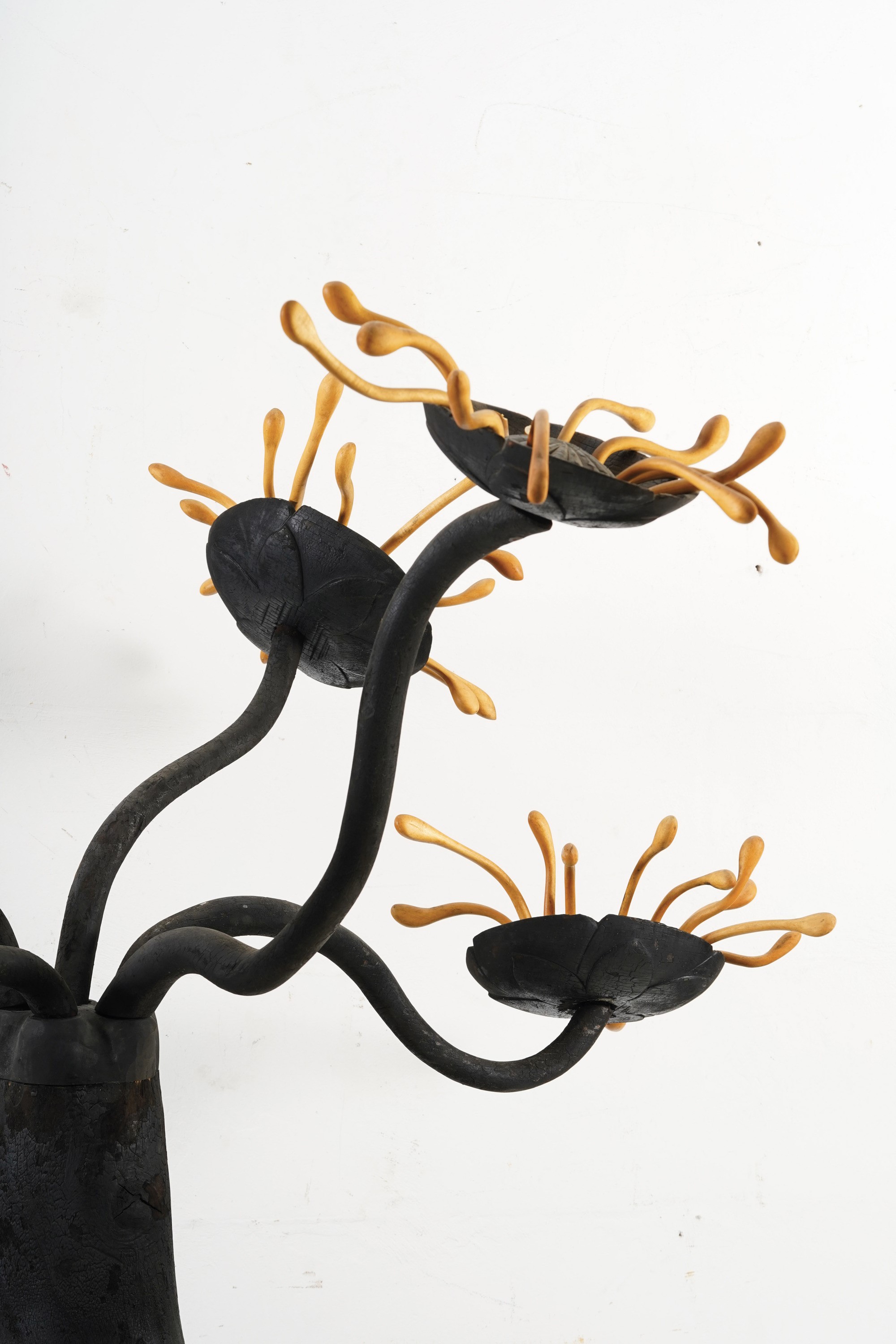 Xin Cang - Fiori esotici, scultura in legno carbonizzato e sandalo