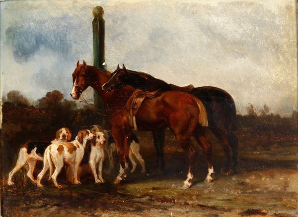 Cavalli e cani
