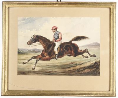 Horse And Rider