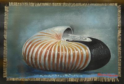 Nautilus
