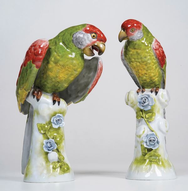 Due pappagalli. Manifattura indeterminata, XX secolo.
