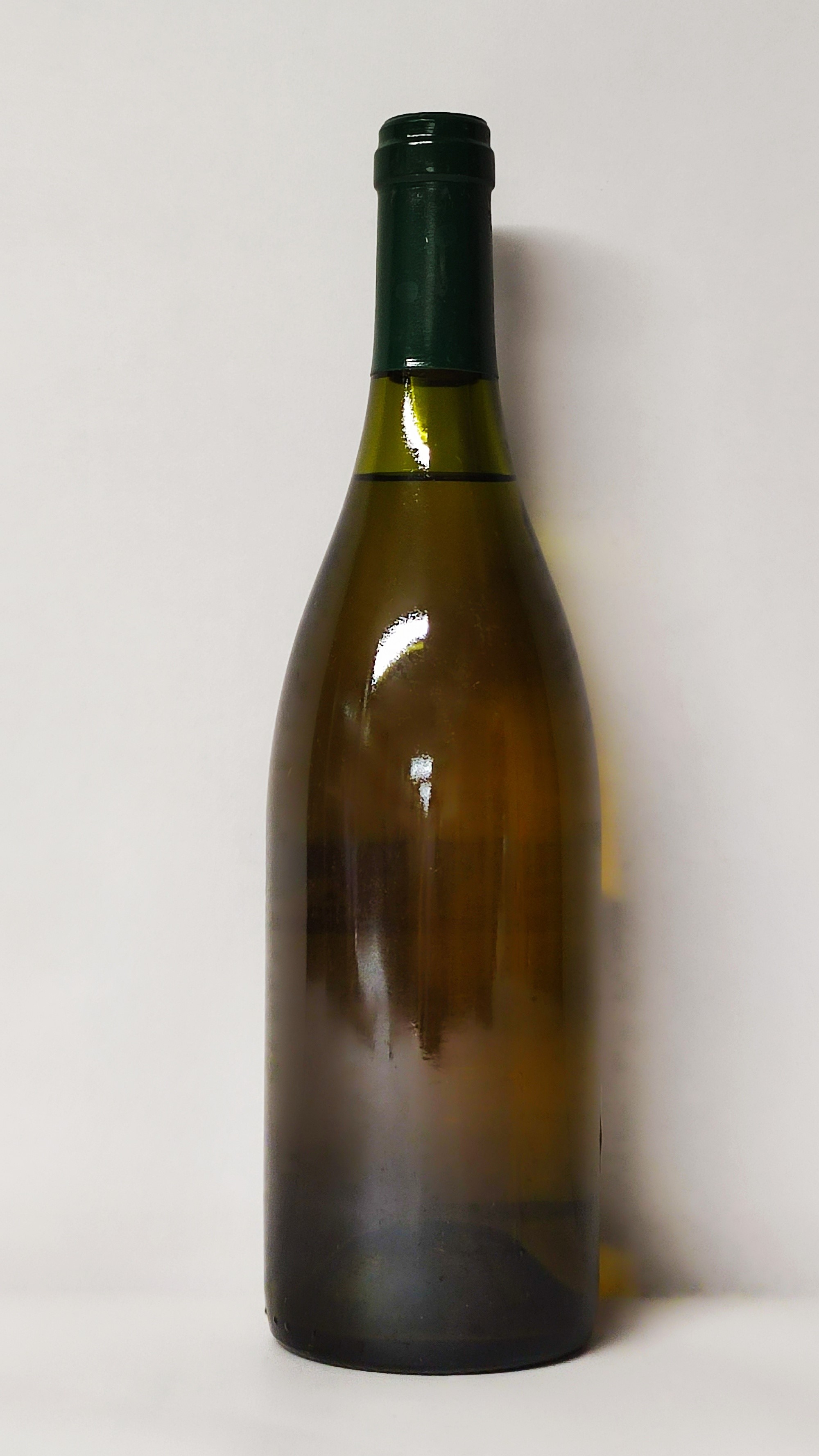 Gaja & Rey, Gaja 1998