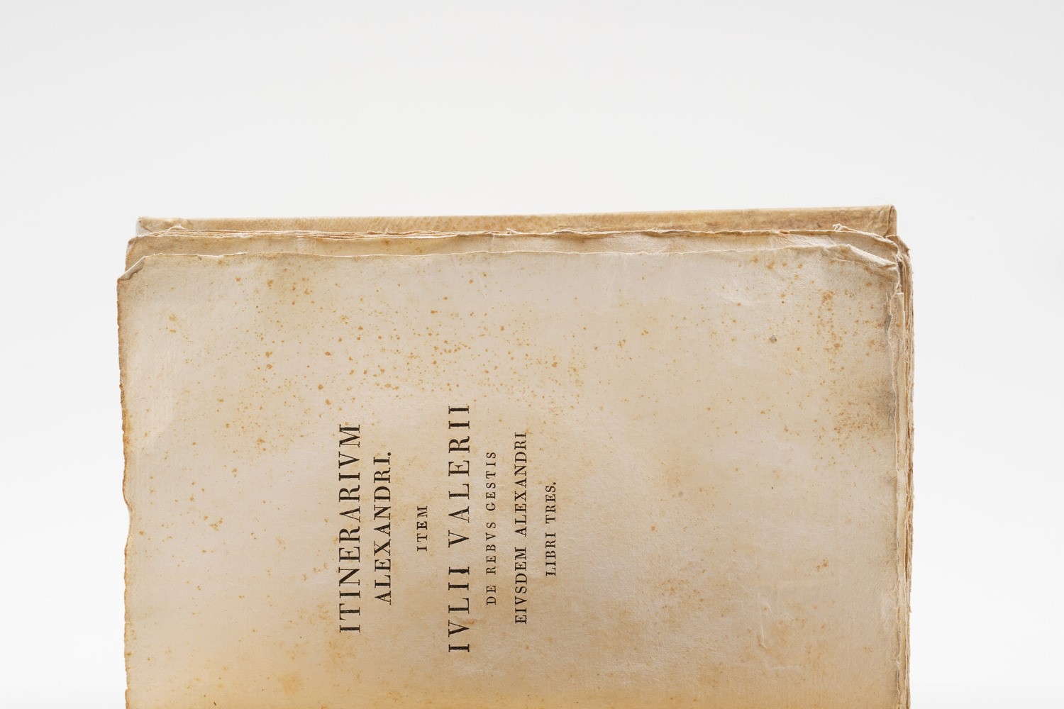 Denis Ferdinand Brasile, Venezia, Antonelli, 1838