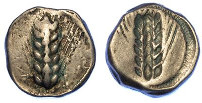 Lucania - Metaponto. Nomos, 470-440 a.C.