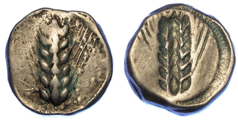 LUCANIA - METAPONTO. Nomos, 470-440 a.C.  - Auction Numismatics - Cambi Casa d'Aste