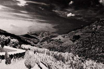 Lotto di Quattro Fotografie Roads (composition)