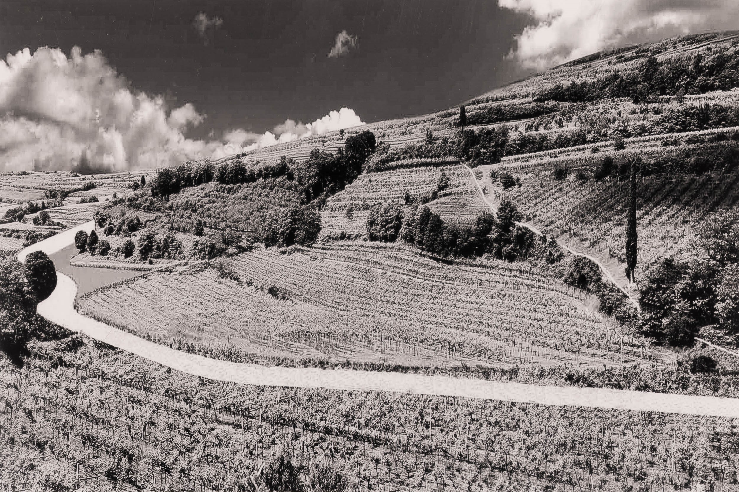 Abbas Gharib - Lotto di Quattro Fotografie Roads (composition)