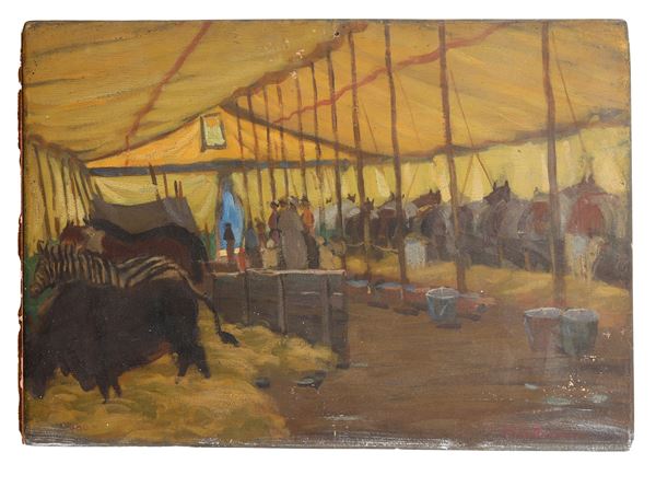 Animali da circo