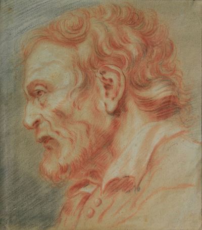Scuola del XVIII Secolo Testa di Anziano