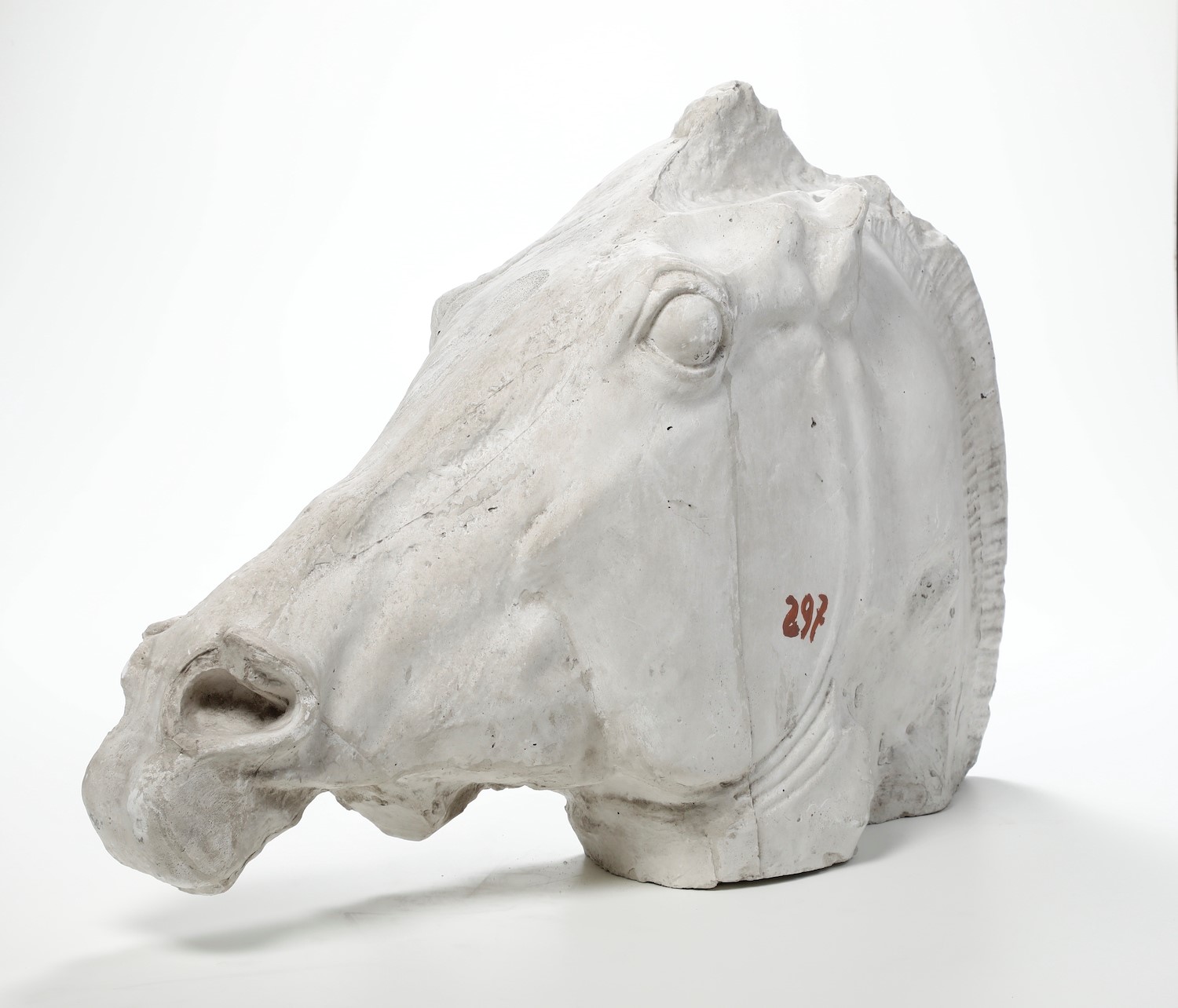 Plasticatore degli Inizi del XX Secolo Modello del Cavallo di Fidia