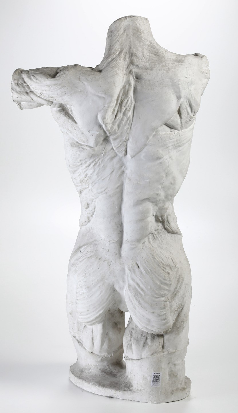 Plasticatore degli Inizi del XX Secolo Torso Anatomico