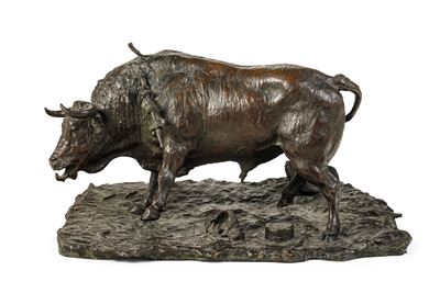 Toro alla Corrida