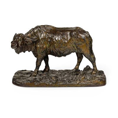 Bufalo