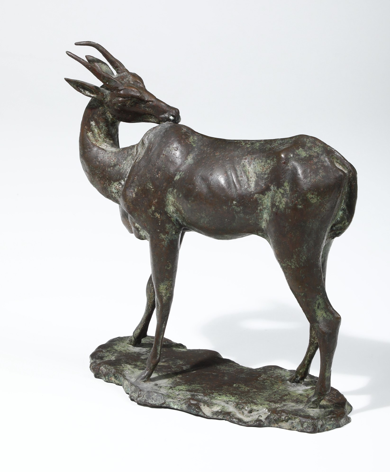 Antonio Corsi - Antilope che si gratta, bronzo fuso e patinato