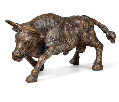 Toro