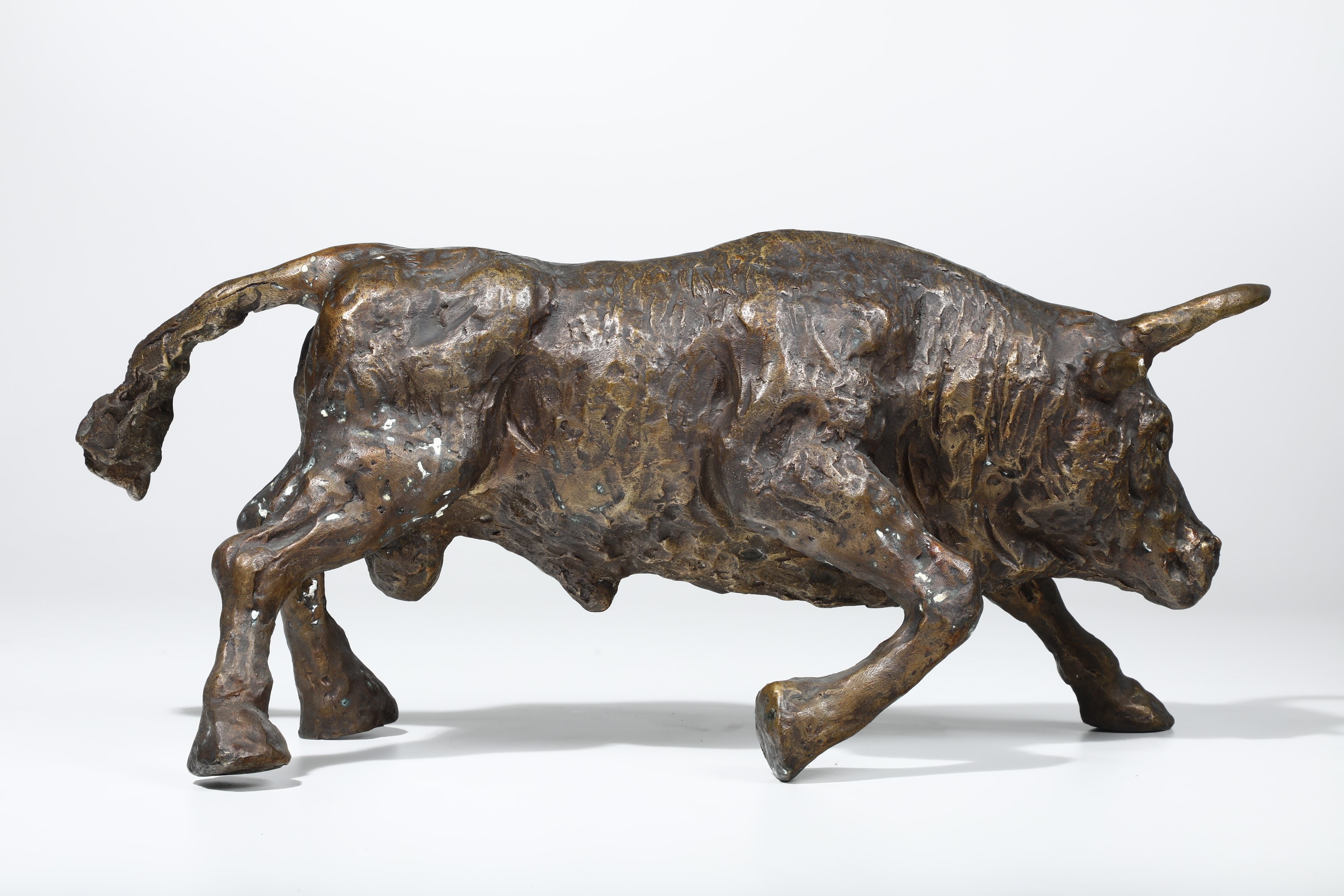 Tommaso Gismondi - Toro