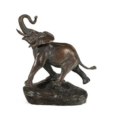 Elefante