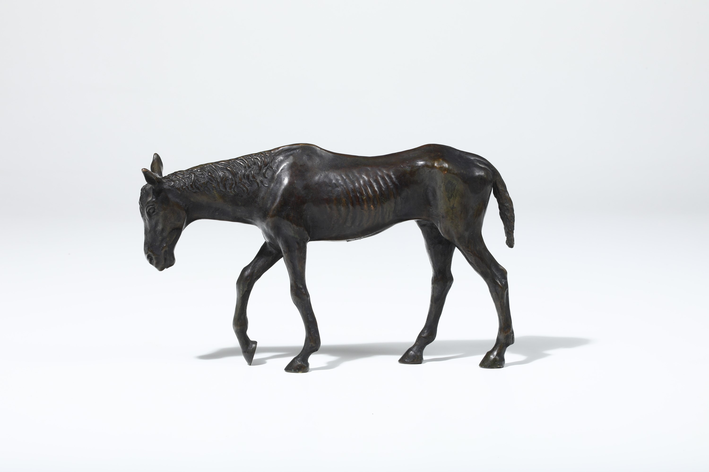 Max le Verrier - Cavallo