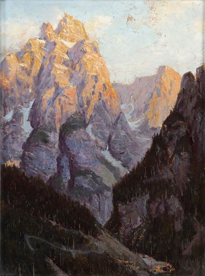 V. Polli Dolomiti
