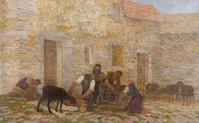 Tosatura delle Pecore